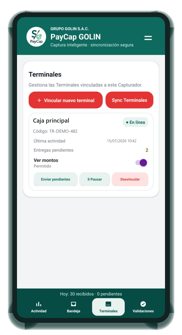 Control de Terminales en PayCap Capturador